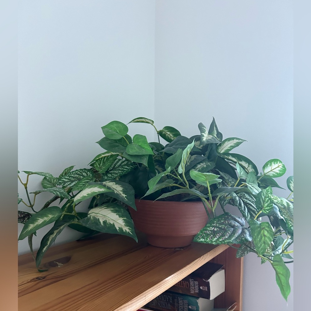Vintage artificial plants in terracotta pot